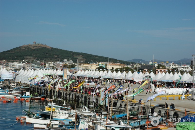 Bangeo Festival  (8/10)