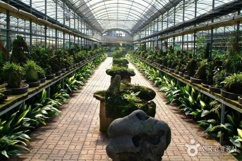 Seokbujak Museum(Natural Stone Art Museum) (2/4)