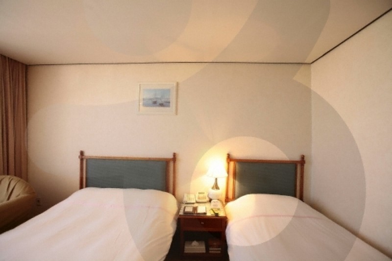 Hotel New Crown  (17/30)