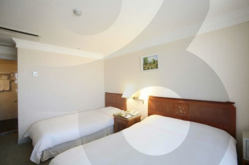 Hotel New Crown  (23/30)