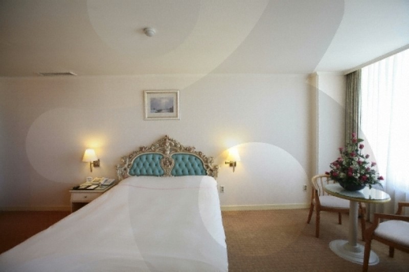 Hotel New Crown  (26/30)
