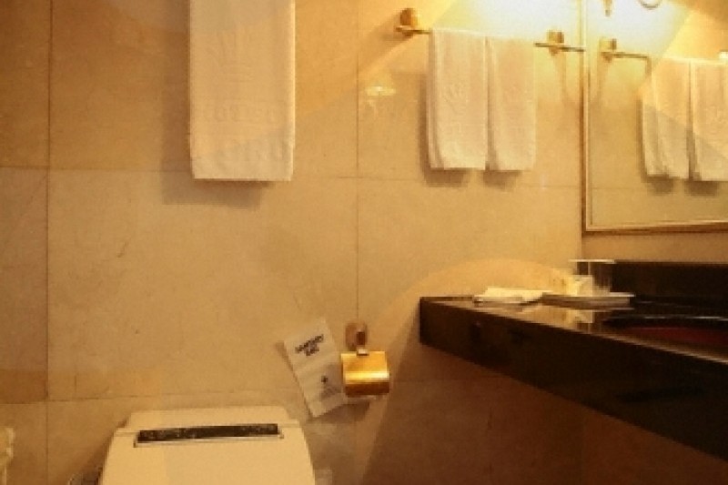 Hotel New Crown  (28/30)