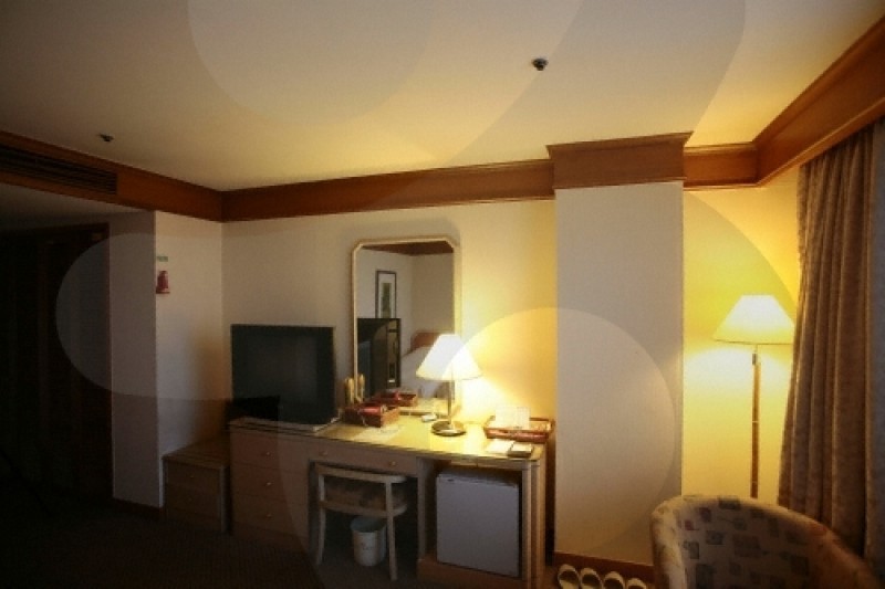 Robero Hotel  (27/29)