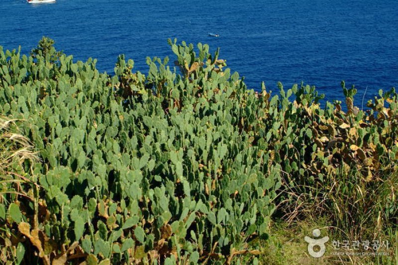 Marado Island (마라도) (2/5)