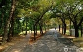 Sarabong Park 
