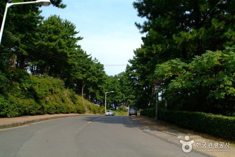 Sarabong Park  (1/6)