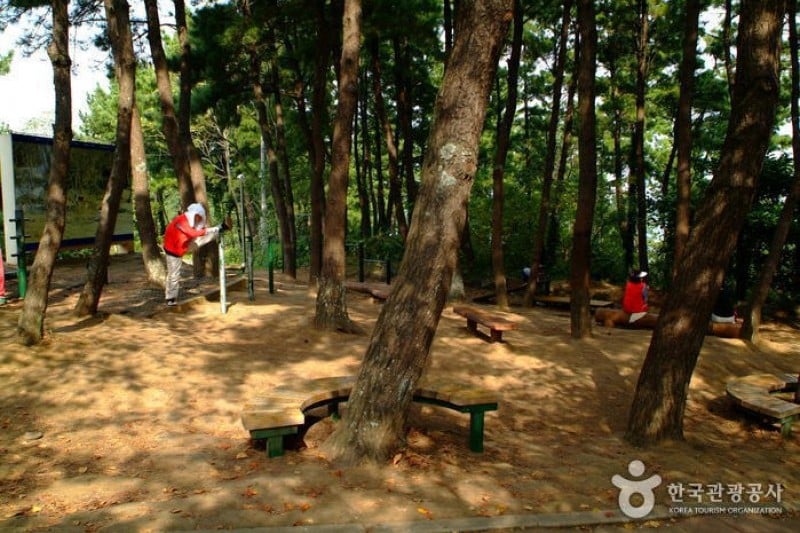 Sarabong Park  (3/6)