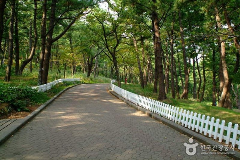 Sarabong Park  (5/6)