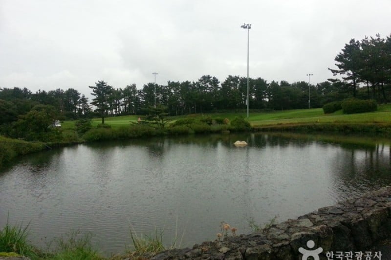 Jeju Country Club  (2/6)