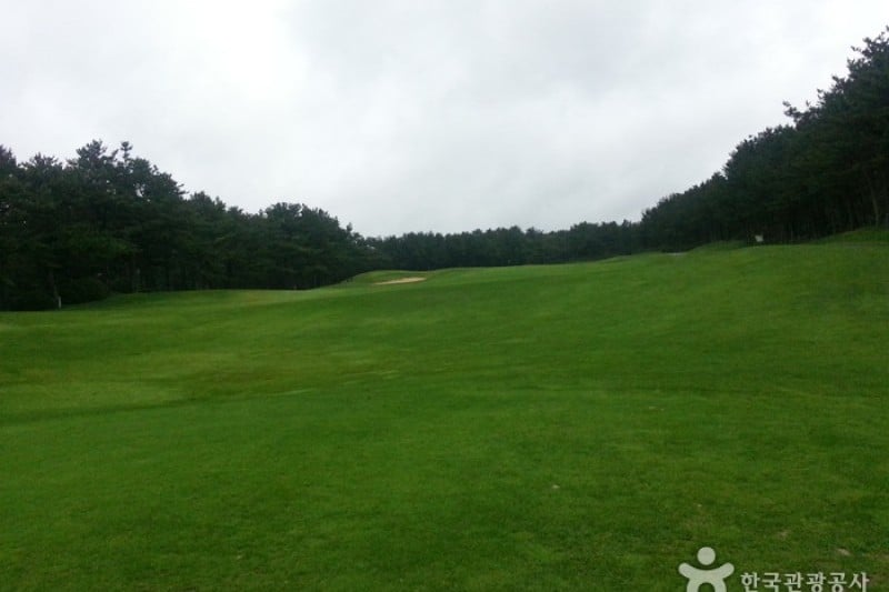 Jeju Country Club  (3/6)