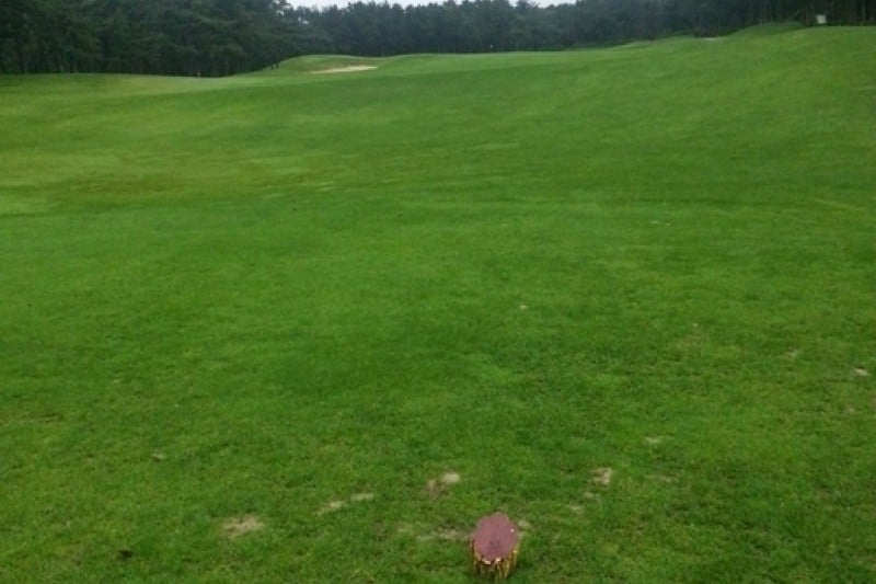 Jeju Country Club  (4/6)
