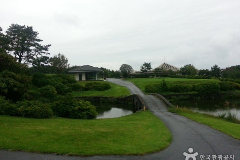 Jeju Country Club  (5/6)