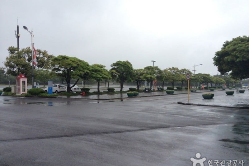 Let's Run Park (Jeju Racecourse) (3/4)