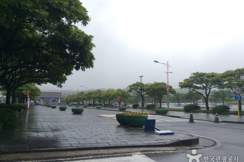 Let's Run Park (Jeju Racecourse) (4/4)