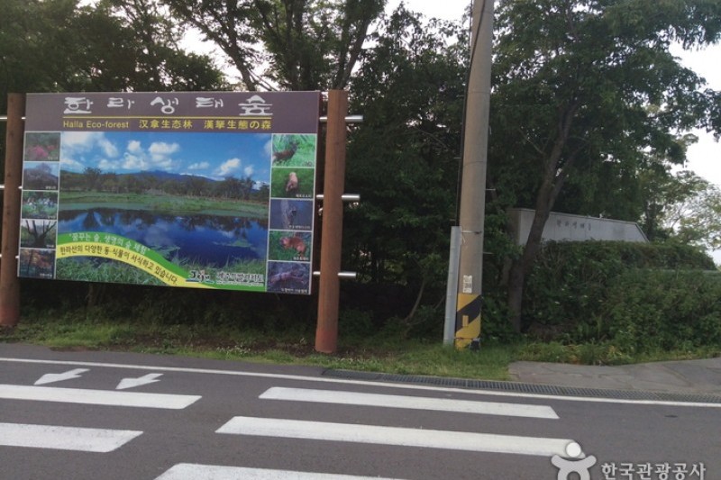 Halla Ecological Forest  (1/5)