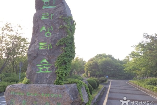 Halla Ecological Forest