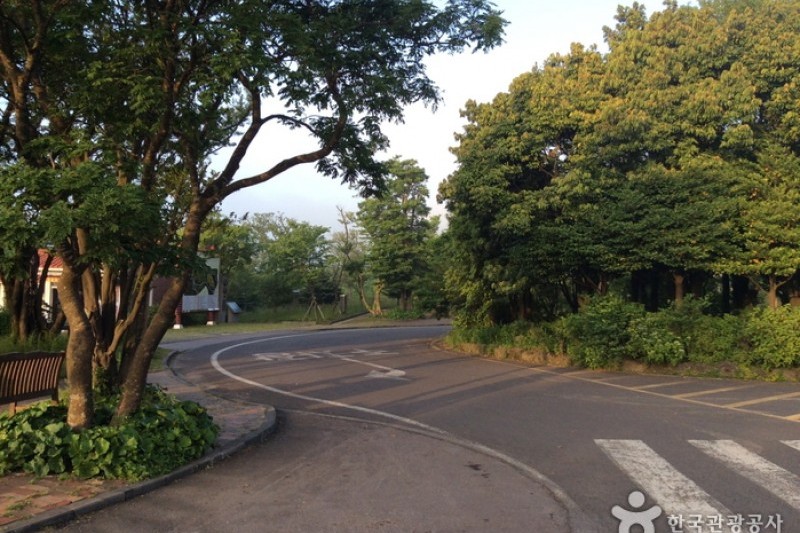 Halla Ecological Forest  (3/5)