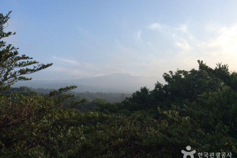 Halla Ecological Forest  (5/5)