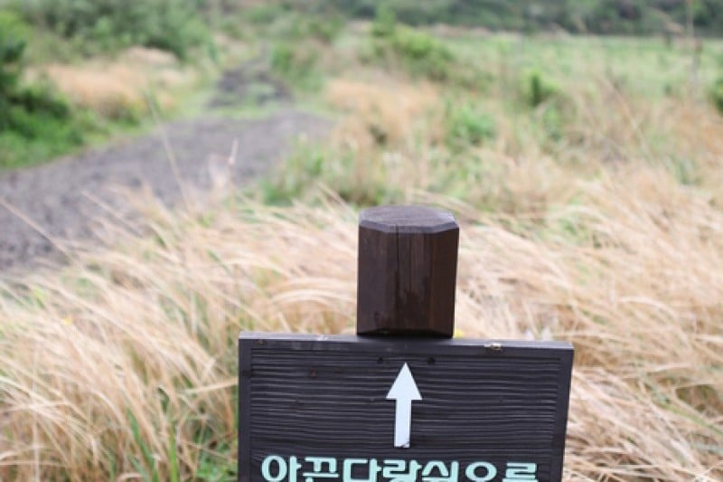 Darangshi Oreum  (4/24)