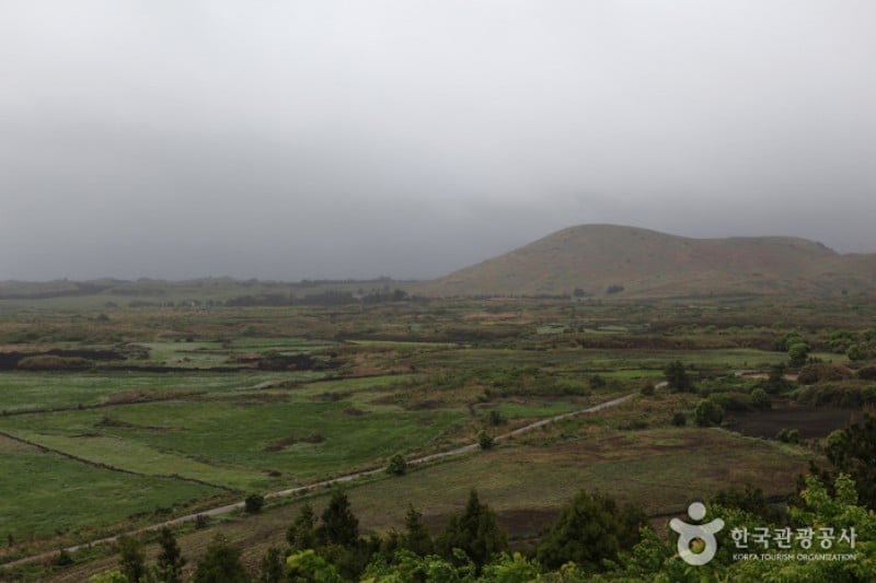 Darangshi Oreum  (11/24)