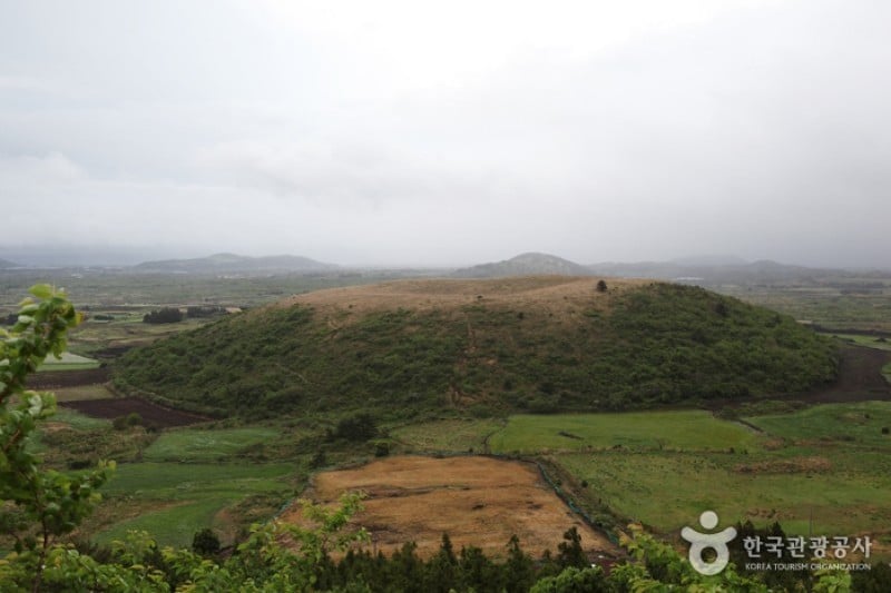 Darangshi Oreum  (14/24)