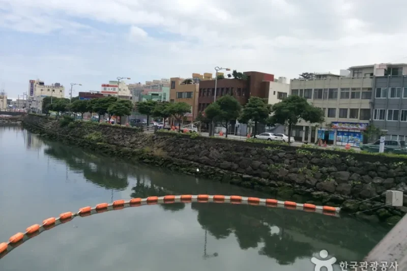 Sanjicheon Stream  (3/6)