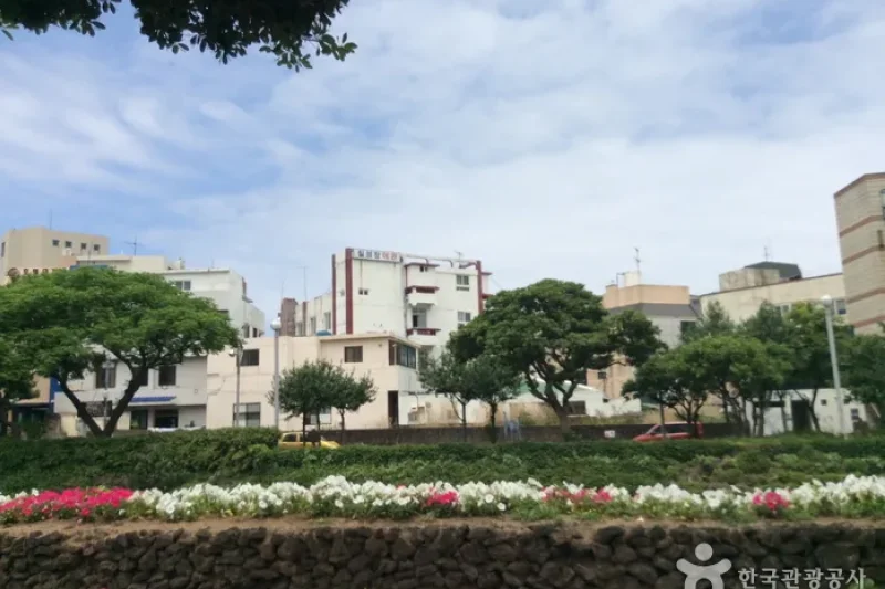 Sanjicheon Stream  (6/6)