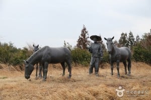 Jeju Horse Park 
