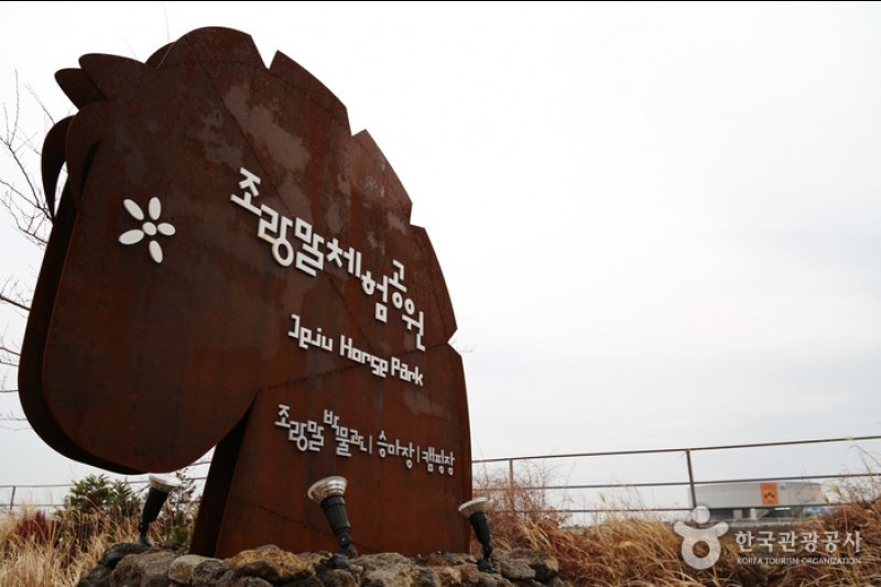 Jeju Horse Park  (2/18)