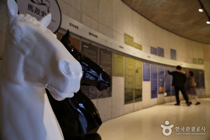 Jeju Horse Park  (5/18)