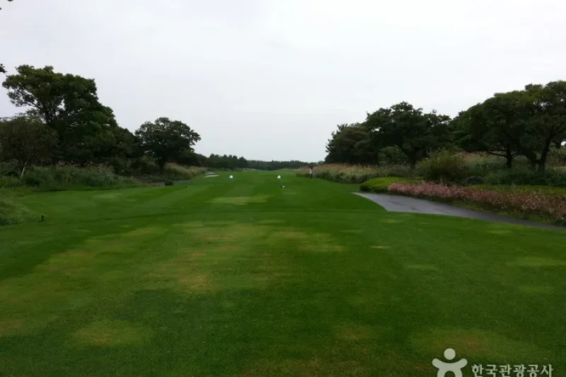 Elysian Jeju Country Club  (4/7)