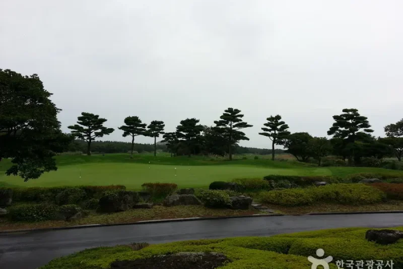 Elysian Jeju Country Club  (5/7)