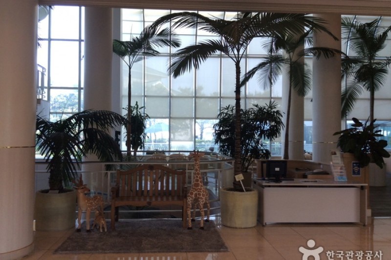 Jeju Hana Hotel  (2/4)