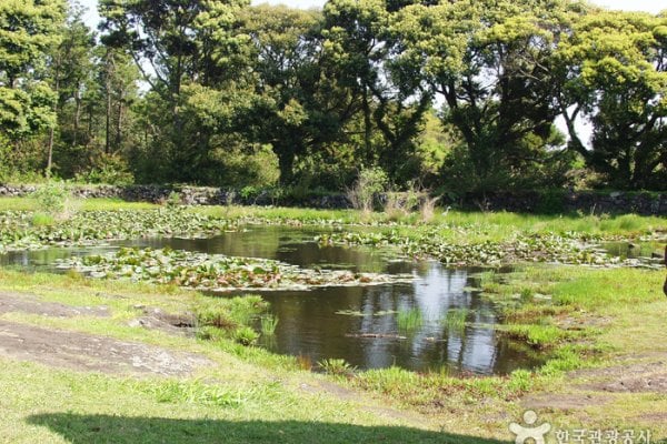 Honinji Pond