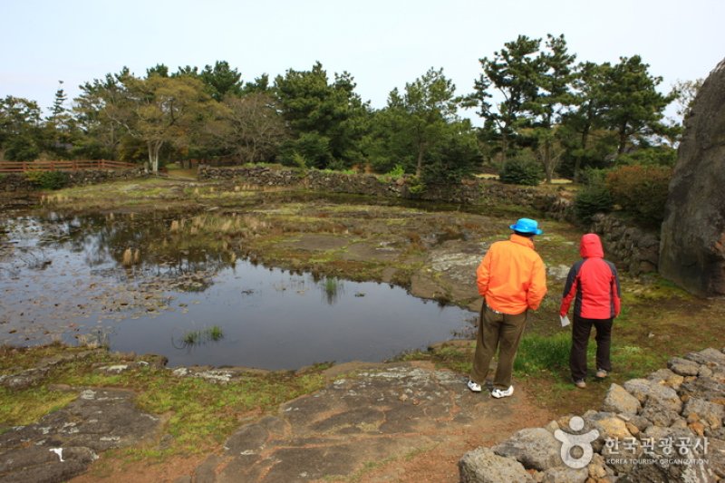 Honinji Pond  (4/16)