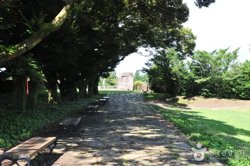 Honinji Pond  (10/16)