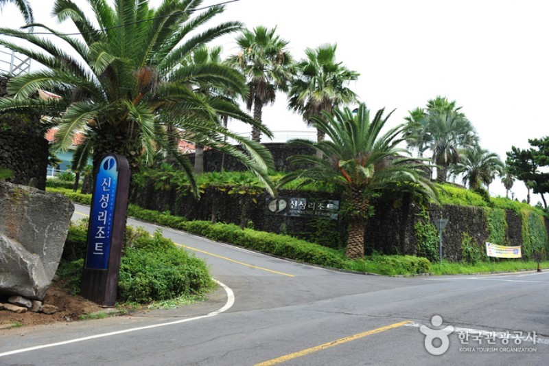 Shinsung Resort  (3/4)
