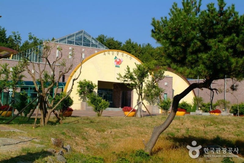 Citrus Museum  (3/26)