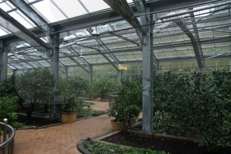 Citrus Museum  (15/26)