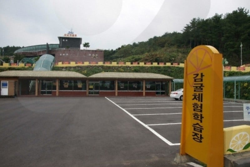 Citrus Museum  (20/26)