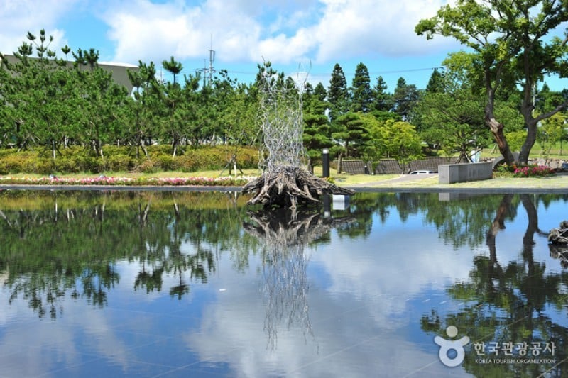 Jeju Museum of Art  (5/6)