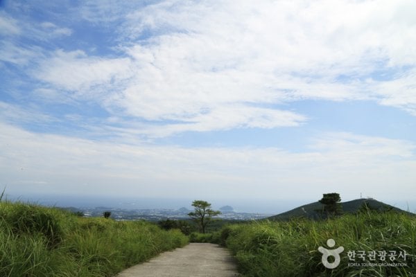 Jeju Island Special Tourist Zone