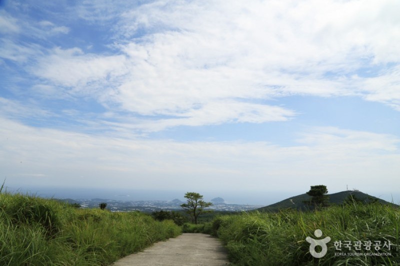 Jeju Island Special Tourist Zone  (1/28)