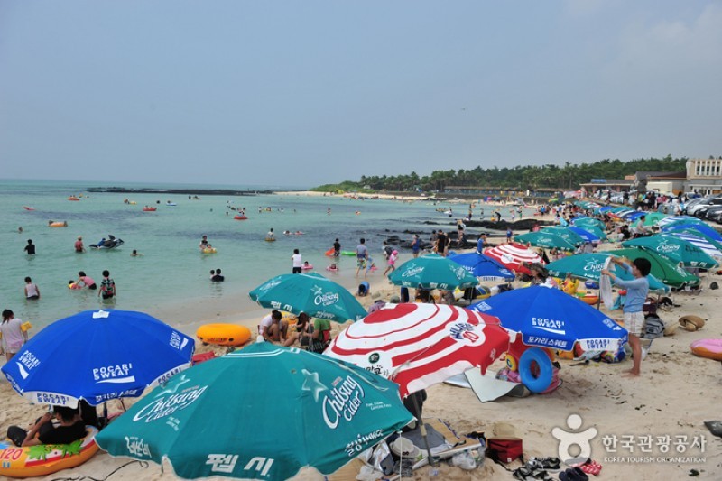 Jeju Island Special Tourist Zone  (4/28)