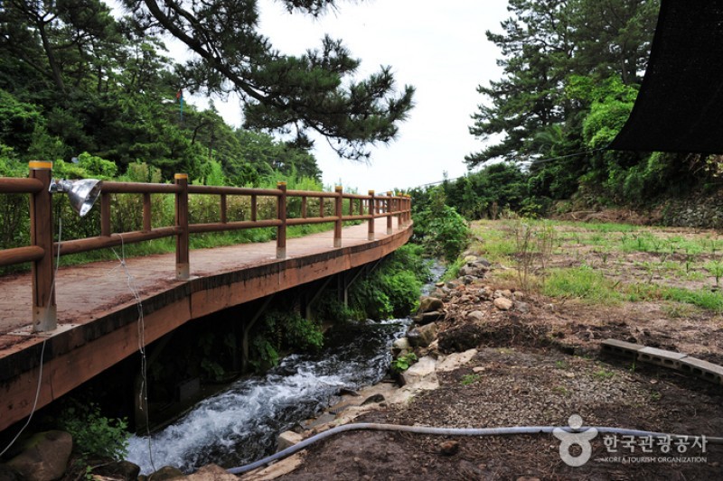 Jeju Island Special Tourist Zone  (7/28)