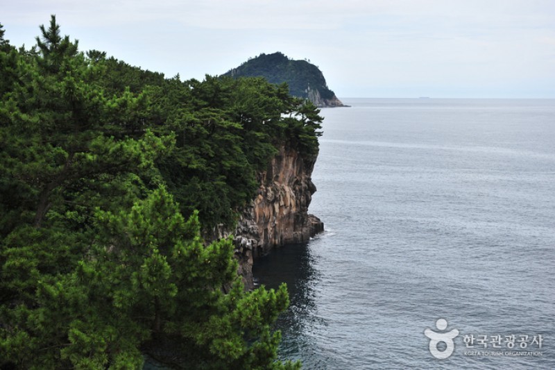 Jeju Island Special Tourist Zone  (8/28)