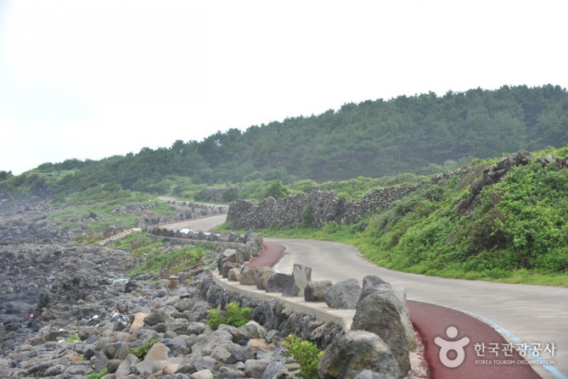 Jeju Island Special Tourist Zone  (9/28)