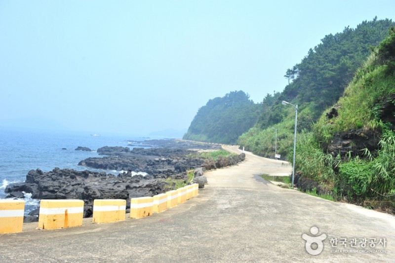 Jeju Island Special Tourist Zone  (11/28)