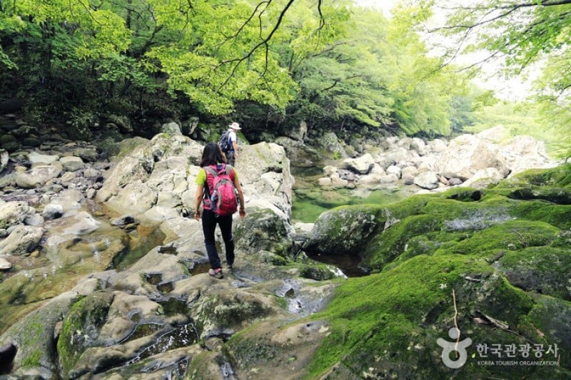 Jeju Island Special Tourist Zone  (19/28)