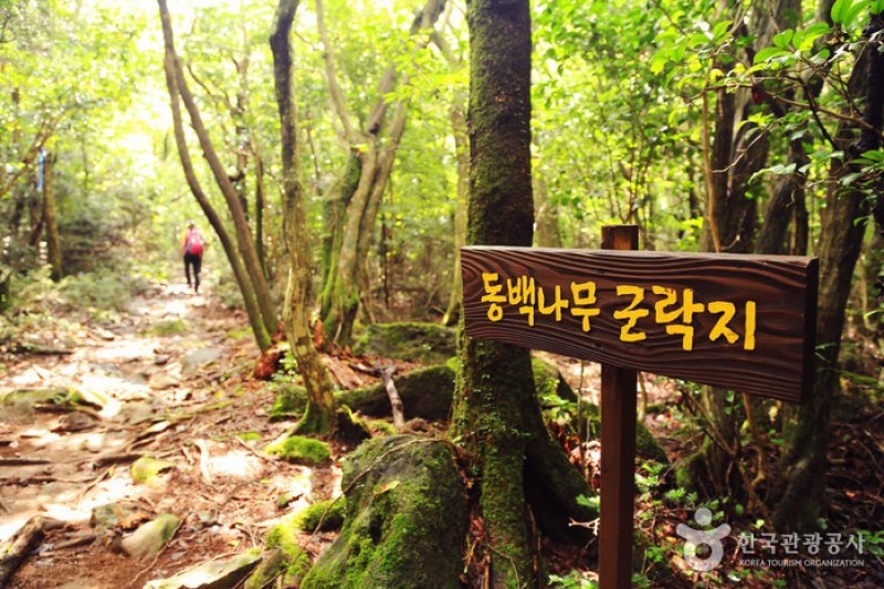 Jeju Island Special Tourist Zone  (21/28)